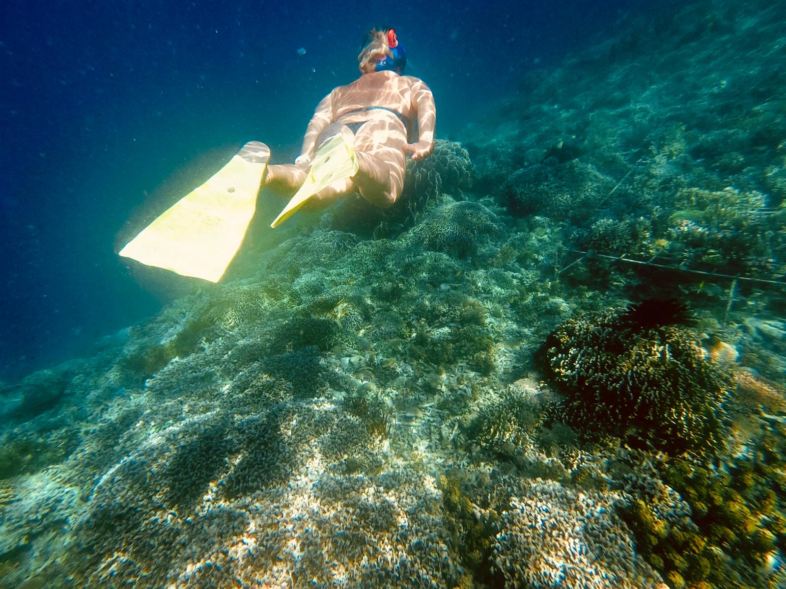 Plan Your Tour to Komodo National Park Indonesia